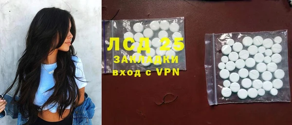 шишки Бородино
