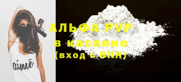 шишки Бородино