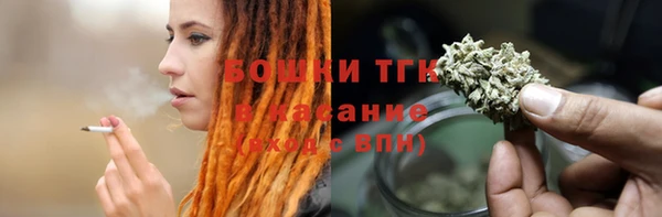 Альфа ПВП Пересвет