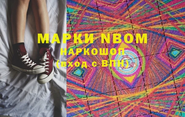 шишки Бородино