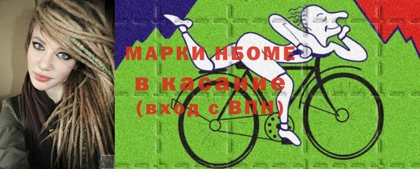 шишки Бородино