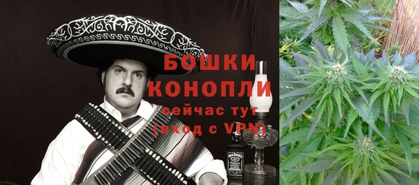 шишки Бородино