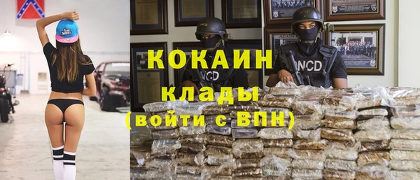 мдпв Богородицк