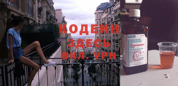 шишки Бородино