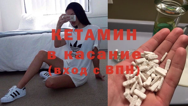 шишки Бородино