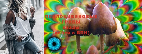стаф Богородск