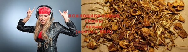 шишки Бородино