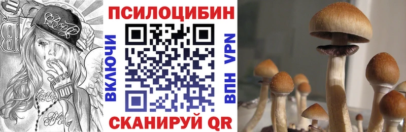 ОМГ ОМГ маркетплейс  дарнет шоп  Камень-на-Оби  Псилоцибиновые грибы Magic Shrooms 